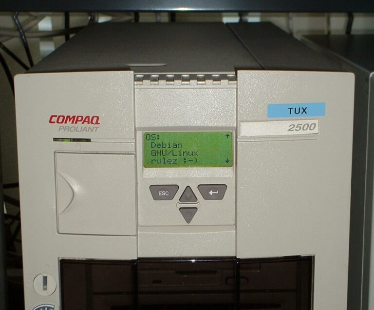 Serveur Tux - Juin 1999