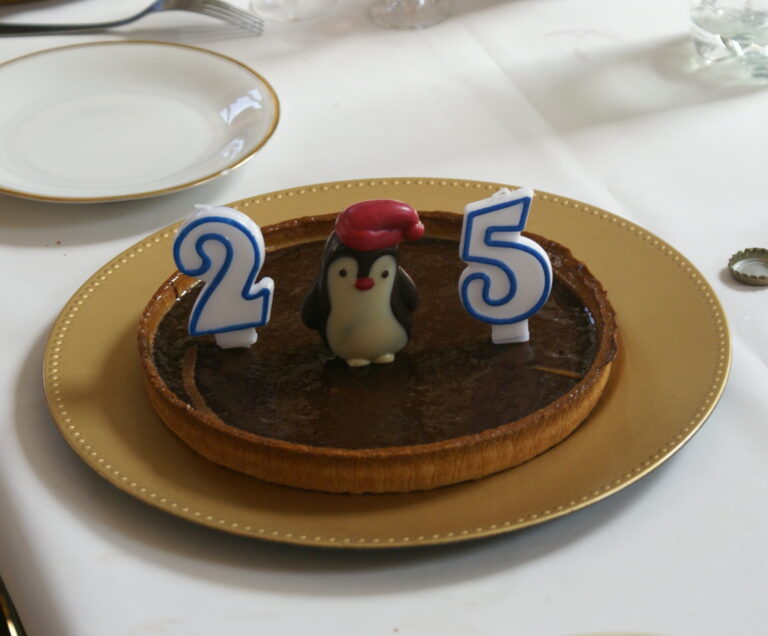 Anniversaire des 25 ans - Gateau avec Tux avant allumage des bougies Anniversaire des 25 ans - Gateau 1 (CC-BY-NC-SA)